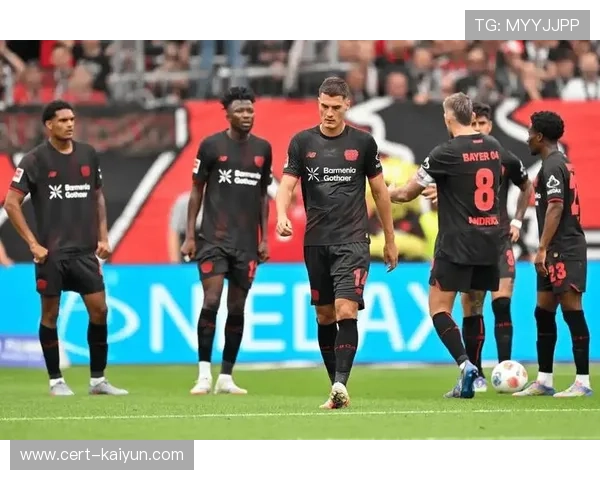 霍芬海姆vs弗赖堡,冲欧劲旅与铁血防守的攻防博弈 霍芬海姆vs弗赖堡,冲欧劲旅与铁血防守的攻防博弈